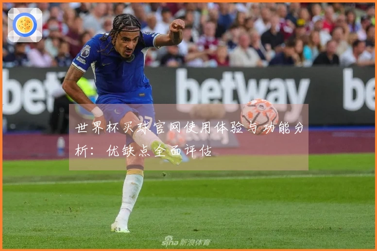 世界杯买球官网使用体验与功能分析:优缺点全面评估
