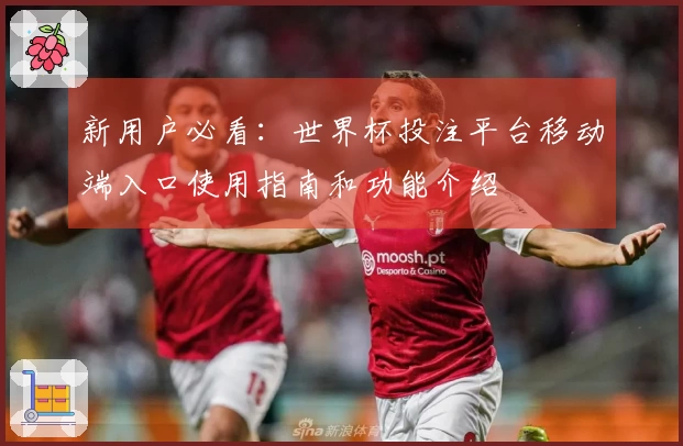 新用户必看：世界杯投注平台移动端入口使用指南和功能介绍