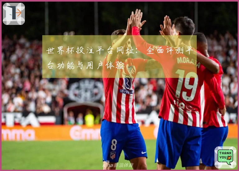 世界杯投注平台网址：全面评测平台功能与用户体验