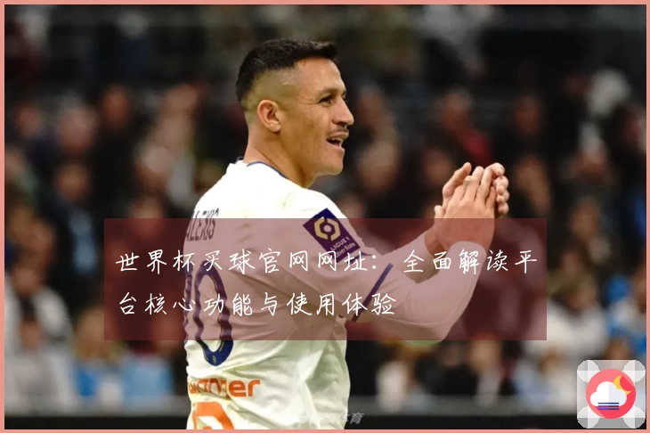 世界杯买球官网网址：全面解读平台核心功能与使用体验