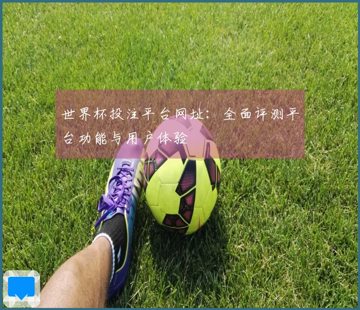 世界杯投注平台网址：全面评测平台功能与用户体验