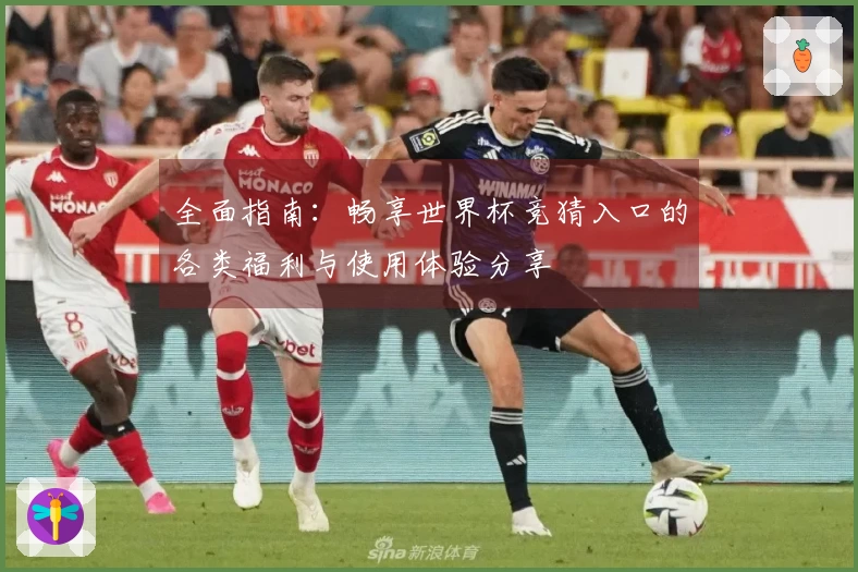 全面指南：畅享世界杯竞猜入口的各类福利与使用体验分享